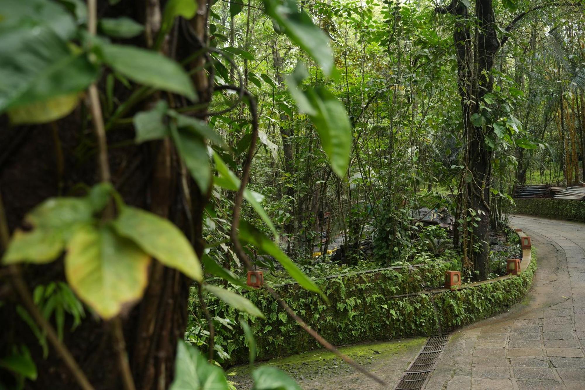 Wayanad Silverwoods Forest Resort & Spa Padinjarathara Exterior foto