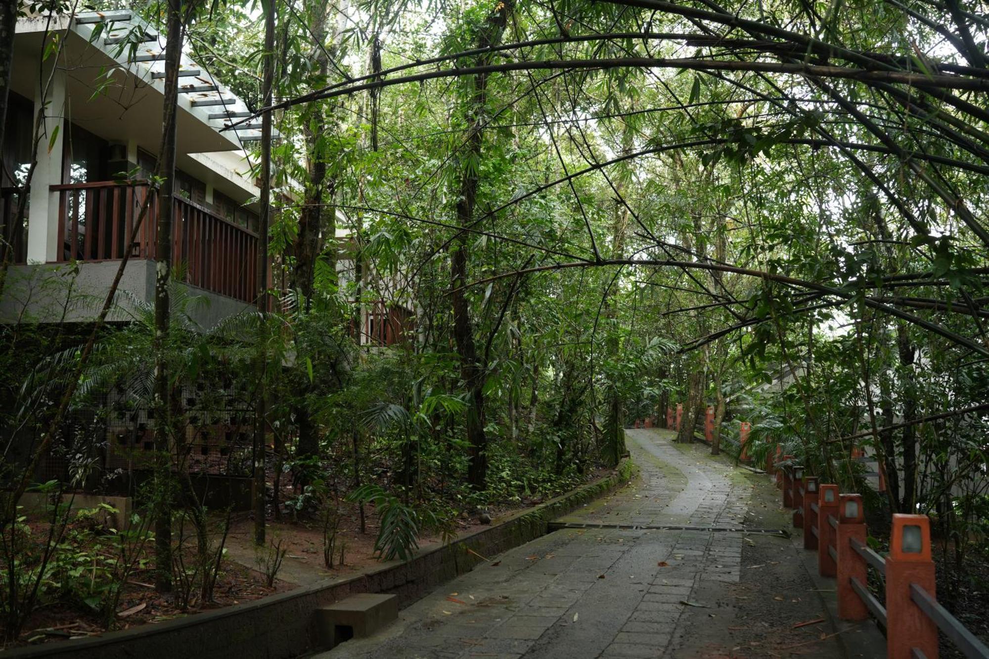 Wayanad Silverwoods Forest Resort & Spa Padinjarathara Exterior foto