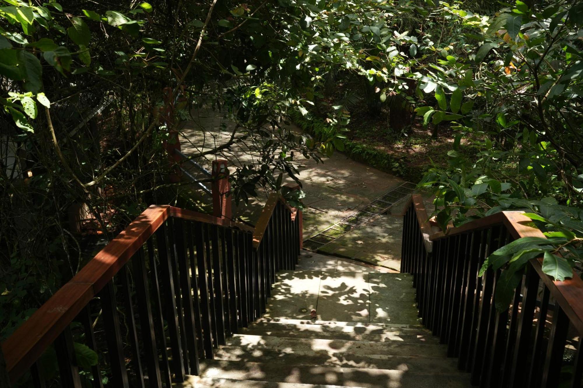 Wayanad Silverwoods Forest Resort & Spa Padinjarathara Exterior foto