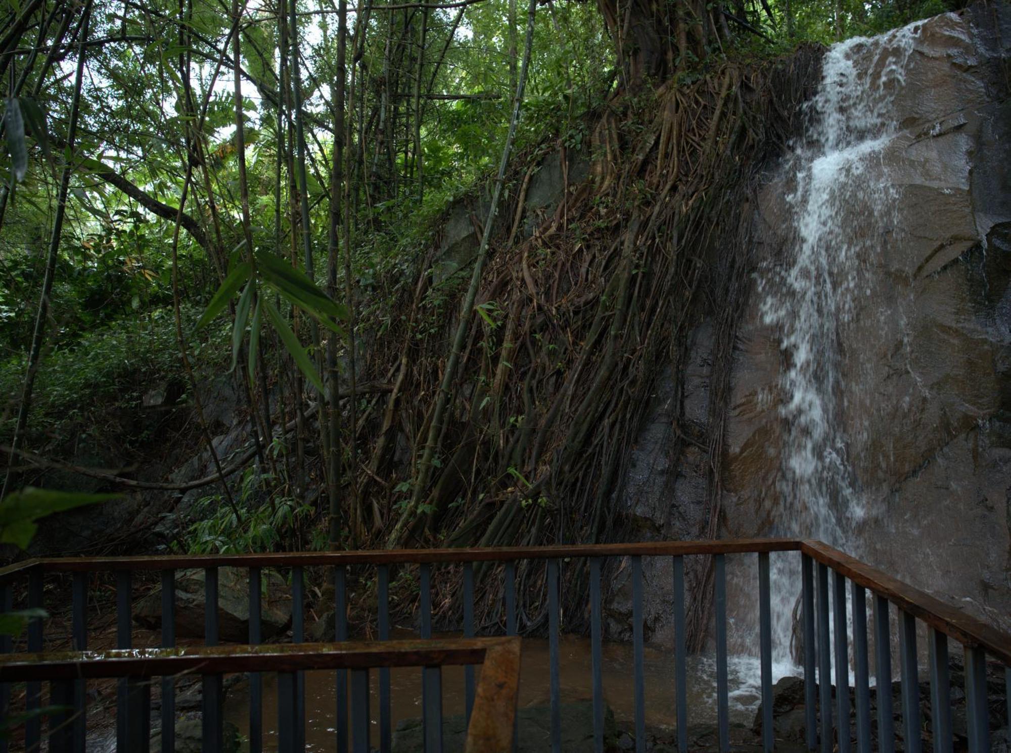 Wayanad Silverwoods Forest Resort & Spa Padinjarathara Exterior foto