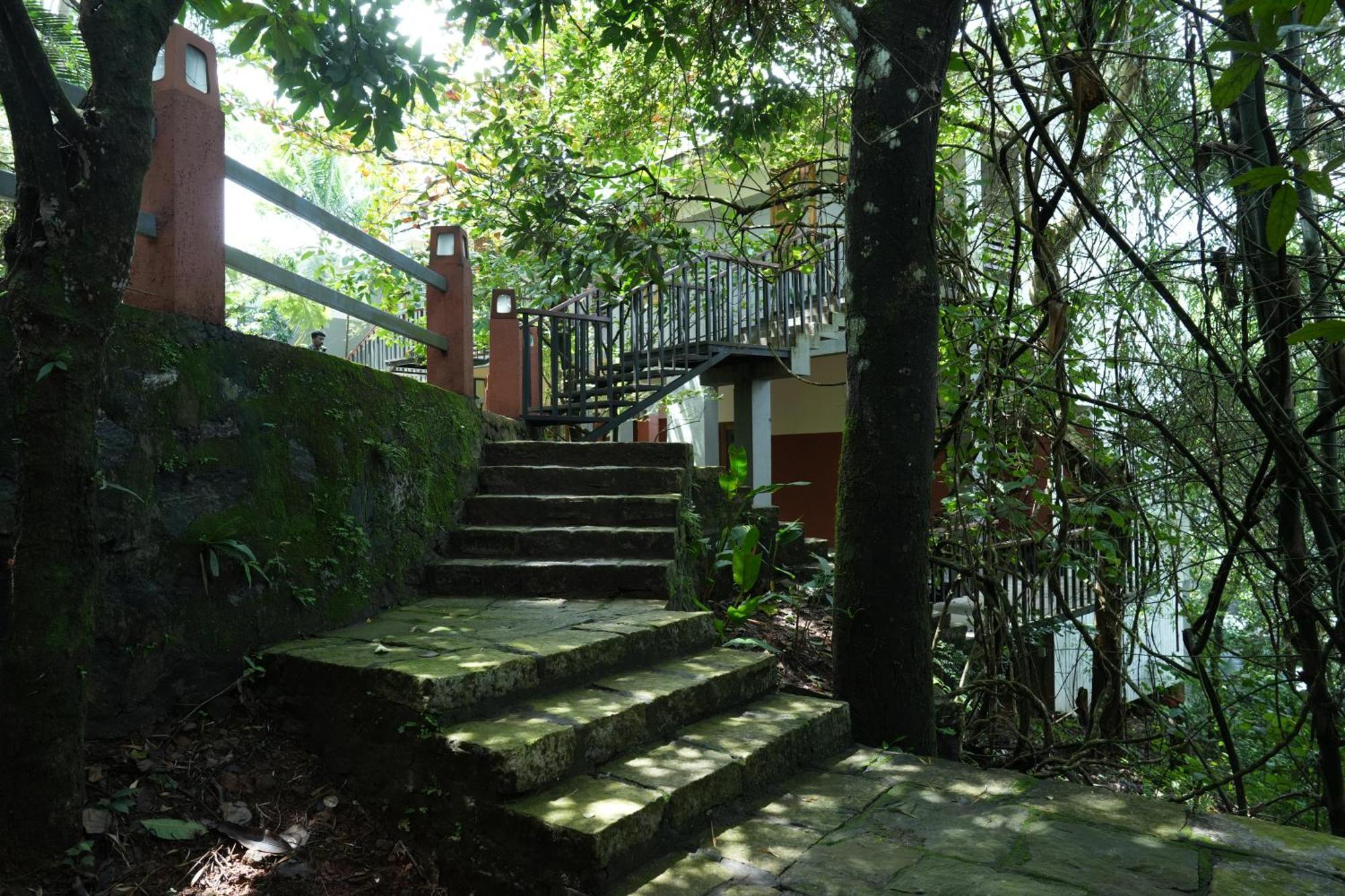 Wayanad Silverwoods Forest Resort & Spa Padinjarathara Exterior foto